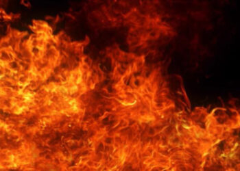 House, 3 shops gutted in Srinagar fire