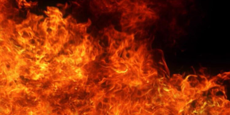 House, 3 shops gutted in Srinagar fire