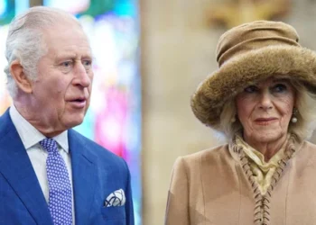 Russian envoy’s bizarre claim: British royal family told to stay away from…