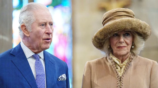 Russian envoy’s bizarre claim: British royal family told to stay away from…