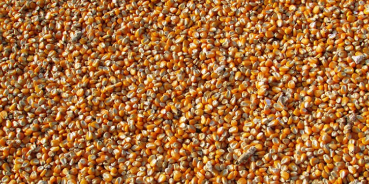 Seen certification system: Jammu and Kashmir administration launches Sathi