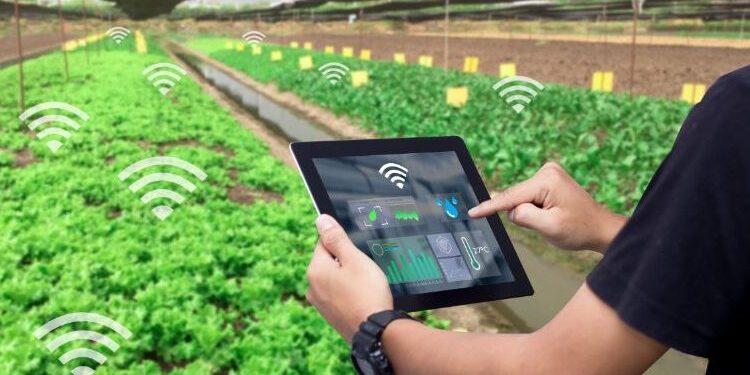 From Tradition To Innovation: Govt Approves Rs 30.40 Cr Project “Sensor-Based Smart Agriculture” For J&K Farmers