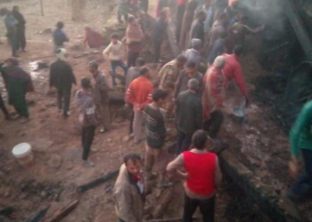 7 cattle charred to death in fire incident