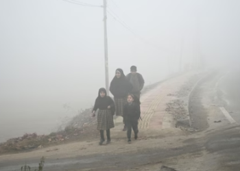 Dense fog engulfs Kashmir amid freezing cold.