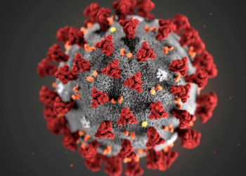 Kerala woman detected with COVID-19 sub-strain JN.1