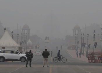 North India shivers as mercury dips, fog reduces visibility in Delhi